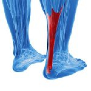 How to Avoid Achilles Tendon Injuries
