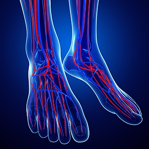 Symptoms of Poor Circulation in the Feet